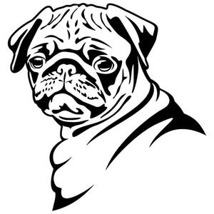300x300 Accessories Pug Passion Store