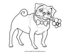 236x182 Image Detail For Related Searches For Pug Coloring Page !my