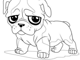 320x240 Pug Pictures To Color Pictures Of Pugs To Color Little Pug Sad