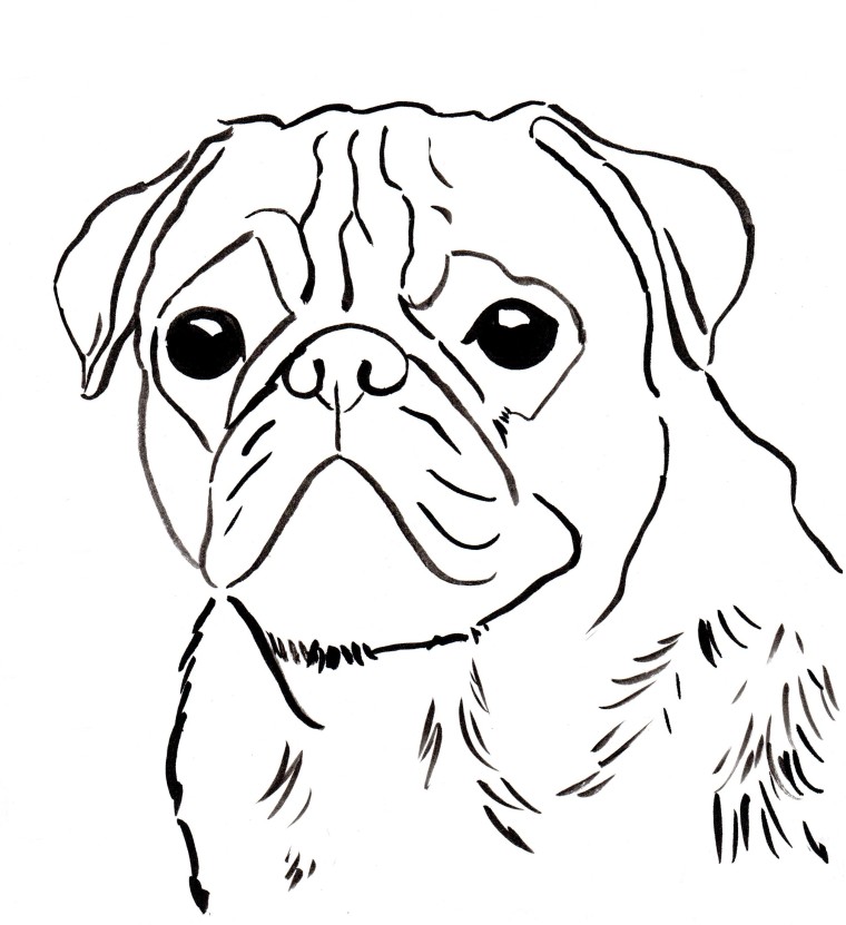 760x831 Pug Coloring Pages To Download And Print For Free Pug Template