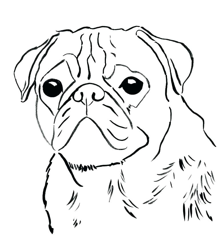 760x831 Pug Coloring Pages Here Are Pug Coloring Pages Images Pugs