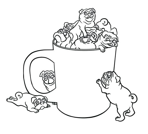600x541 Pug Coloring Page Synthesis.site