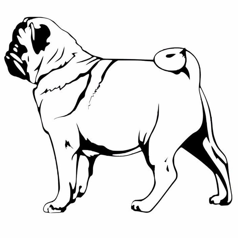 800x800 Buy Car Sticker Pug And Get Free Shipping