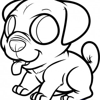 320x320 How To Draw A Pug Puppy Step By Pets Animals Coloring Pages