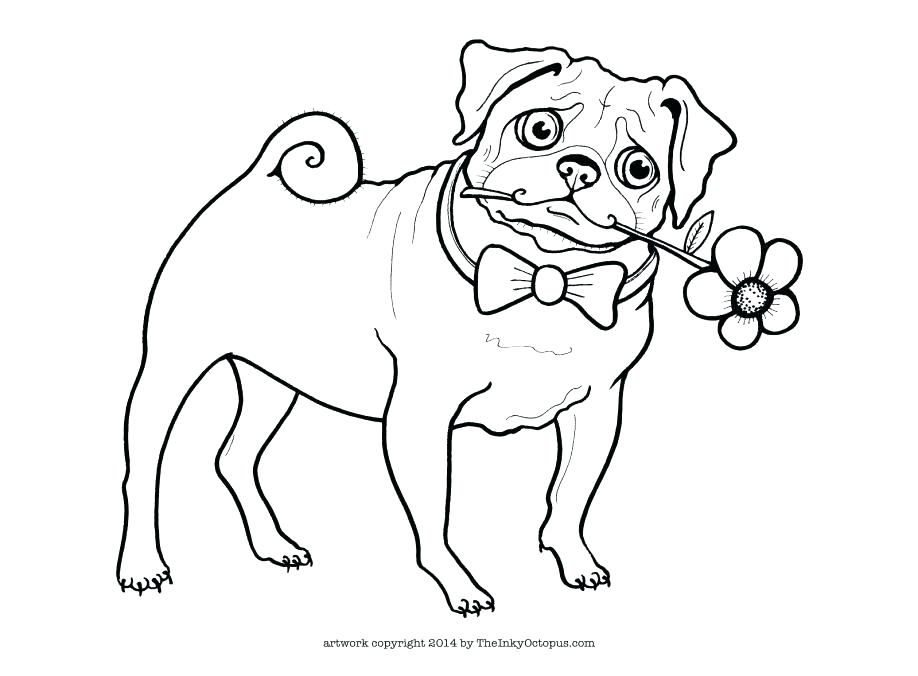918x676 Beautiful Pug Coloring Pages Or Pug Coloring Pages Together