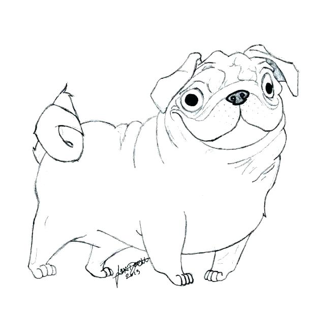 618x618 Pug Puppy Coloring Pages Colouring Murs