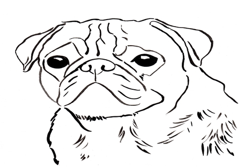 476x333 Puppy Face Coloring Page Image Clipart Images