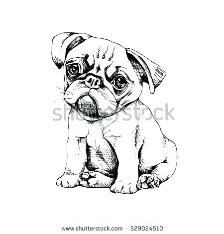 450x470 Great Remarkable Pug Puppy Coloring Pages Fee Vector Black