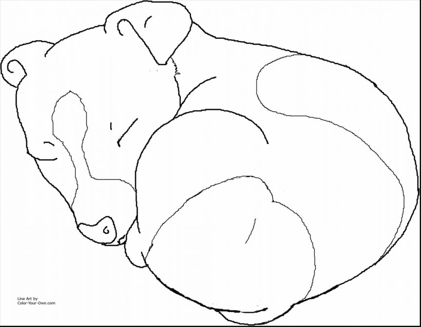 863x670 Funny Cat U Dog Pictures Mini Dogs To Color Pug Puppies Coloring