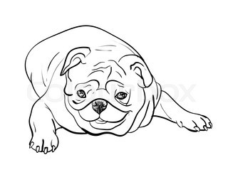 320x256 Drawing Set Of Pug In Many Pose Stock Vector Colourbox