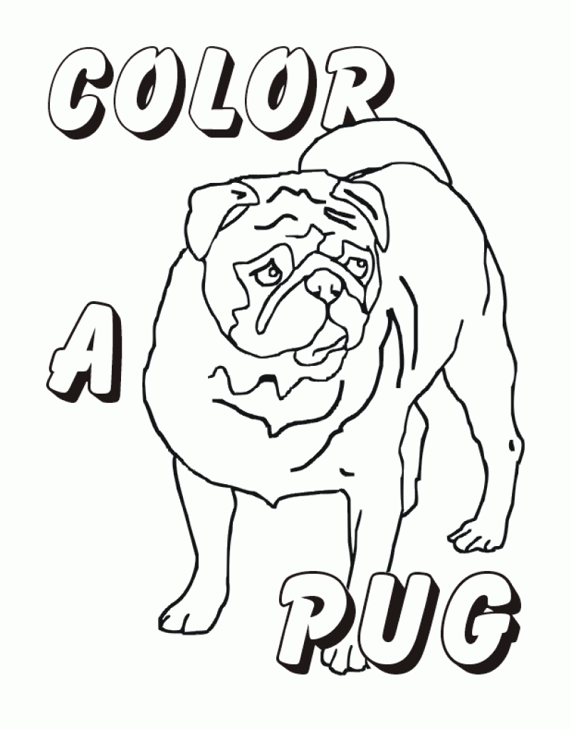 802x1024 Pug Coloring Pages Best For Toddler Free Printable Animals