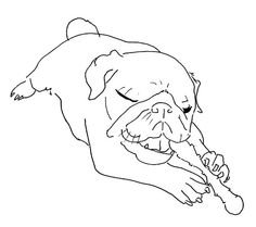 236x209 Pug Drawing By Elina Holley