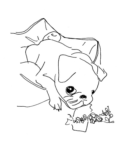 440x500 Pug Drawing By Elina Holley Art Drawing Sketches