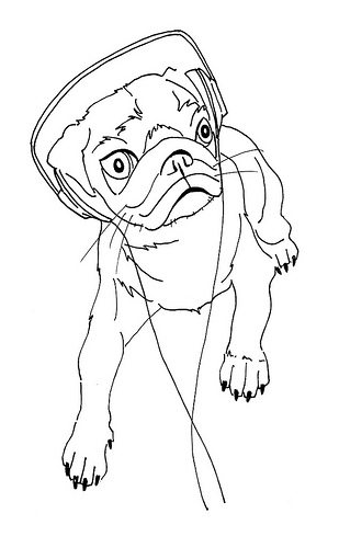 309x500 Pug Drawing By Elina Holley Drawing Sketches, Sketches And Drawings