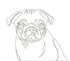 236x208 Pug Puppy Ink Drawing Embellished Miniprint Pug Puppies