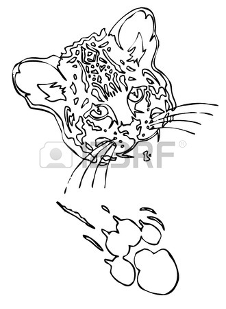 330x450 Leopard Puma Or Jaguar Face Realistic Graphics With Print