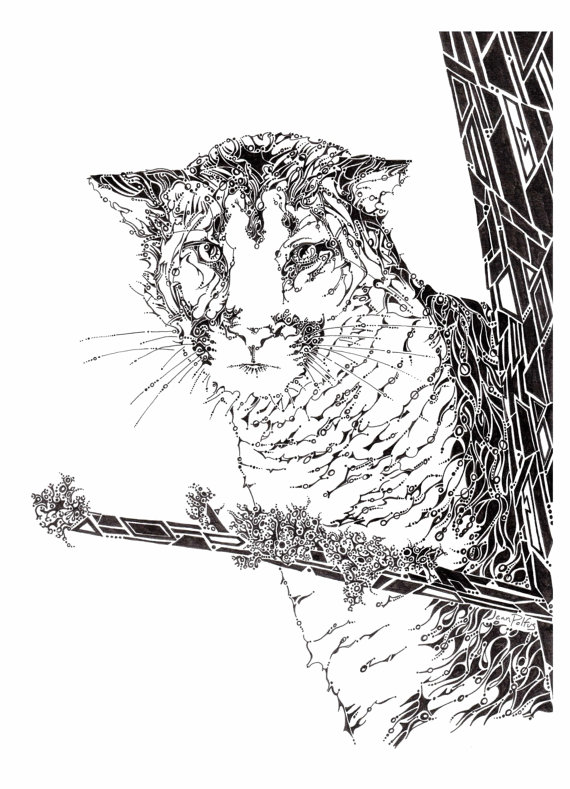 570x789 Mountain Lion Drawing, Cougar Illustration, Puma Drawing, Big Cat