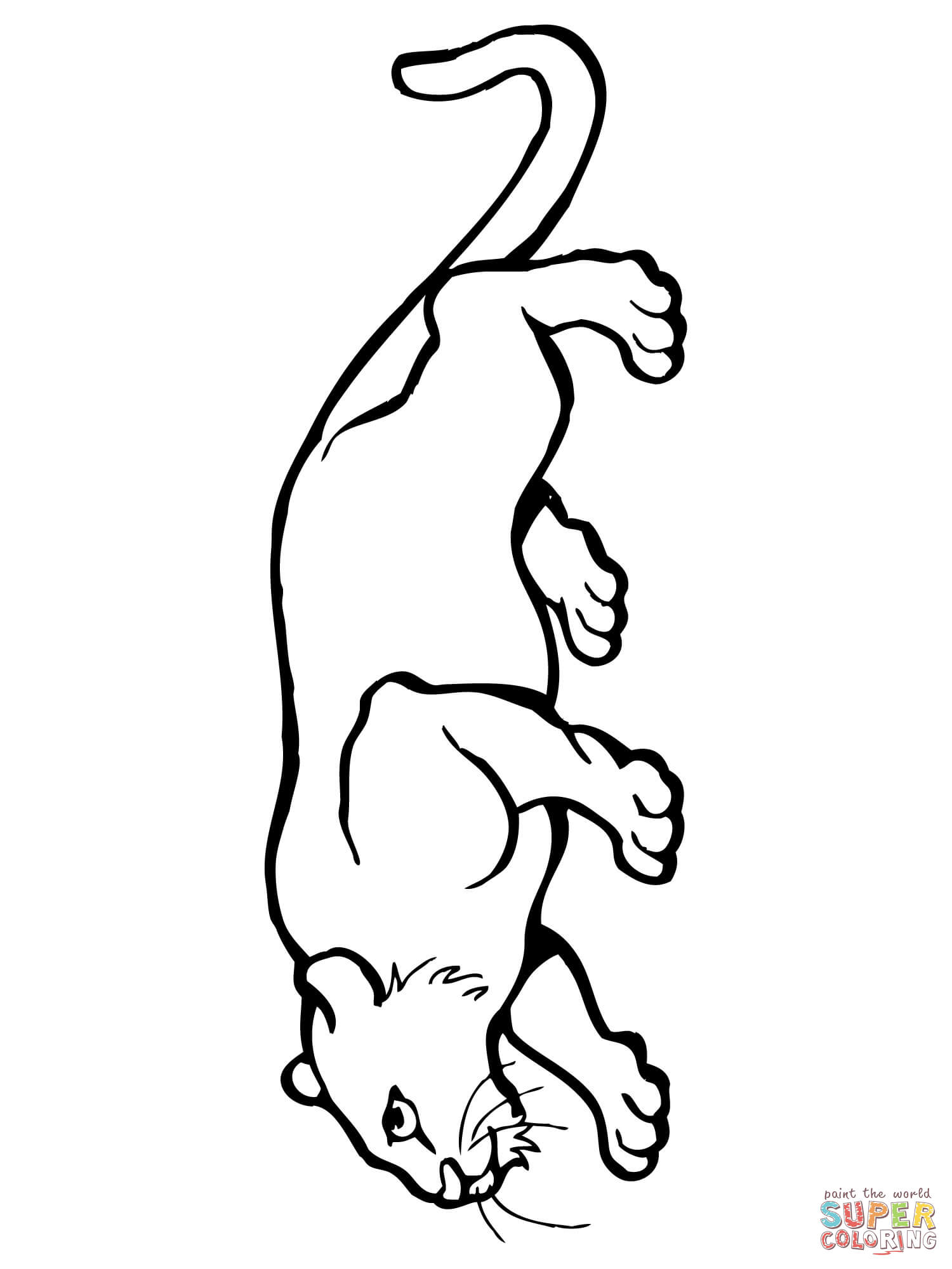 1500x2000 Cougar Or Puma Or Panther Or Mountain Lion Coloring Page Free