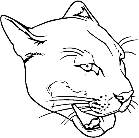480x474 Face Of Puma Coloring Page Free Printable Coloring Pages