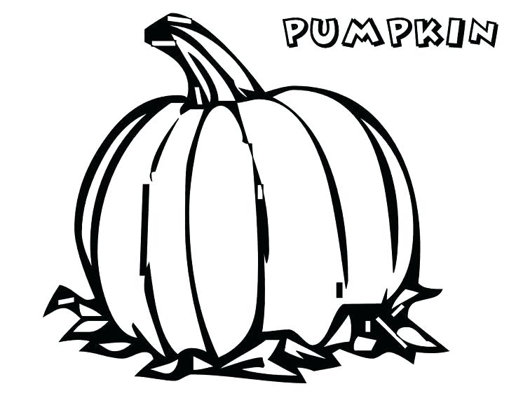 736x568 Pumpkin Coloring Book As Well As Drawn Pumpkin Coloring Book 7 91
