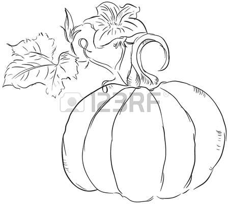 450x400 Drawn Pumpkin Pumpkin Flower