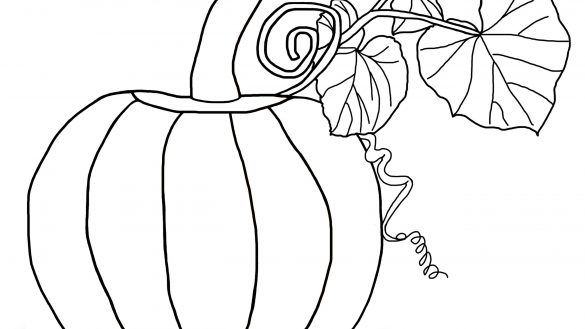 585x329 Coloring Book Pumpkin 2 Objects Printable Pages Drawing Page