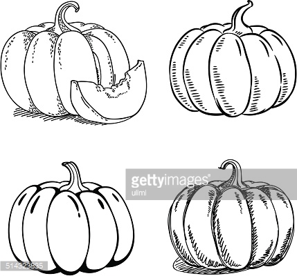 429x400 Pumpkin Sketch