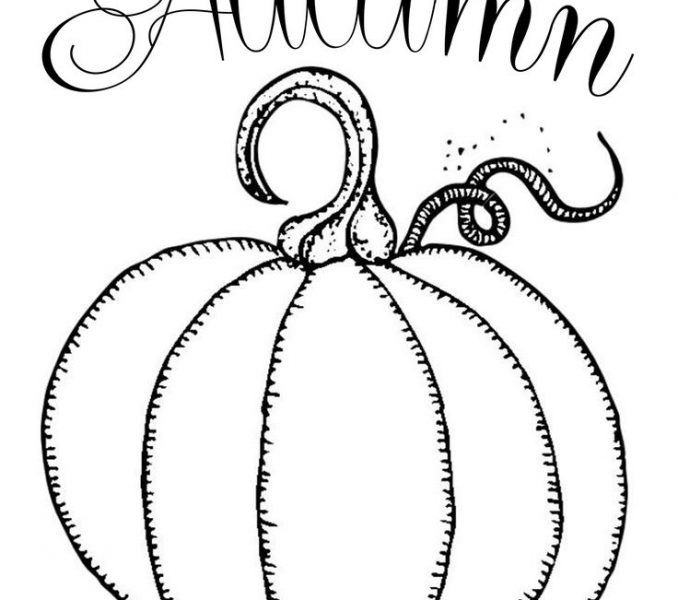 678x600 Free Printable Drawing Templates Best 25 Pumpkin Printable Ideas