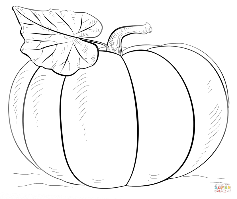 832x700 Pumpkins Coloring Pages Free Coloring Pages