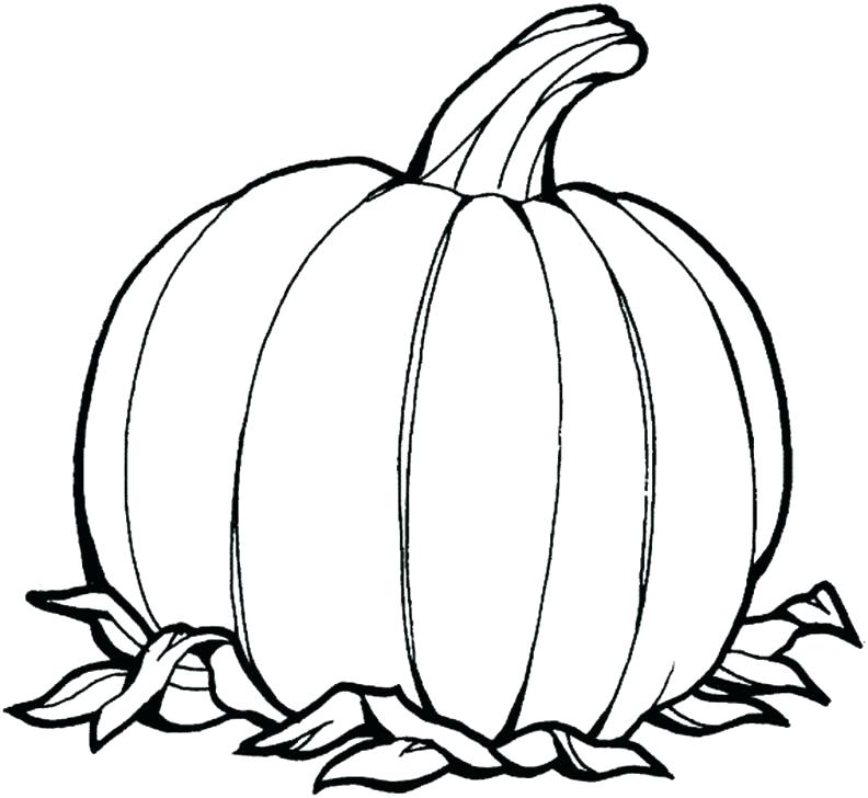 792x728 Coloring Page Of A Pumpkin Large Pumpkin Coloring Page Coloring