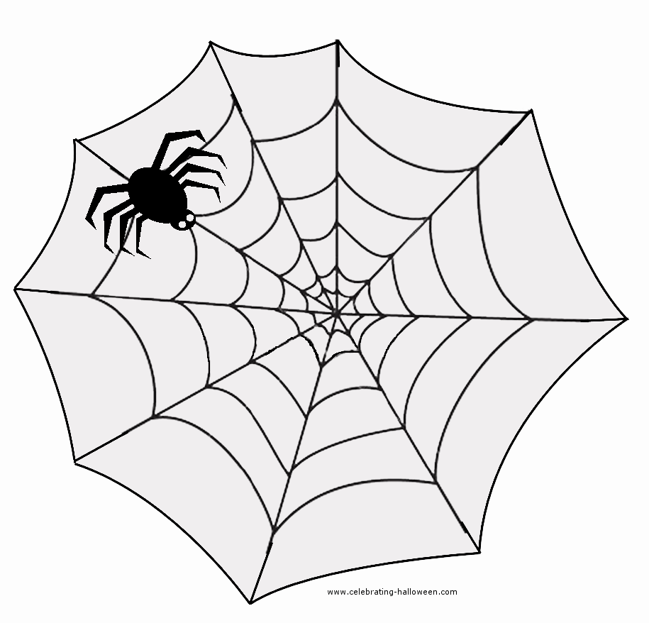 915x878 Spider's Web Pattern