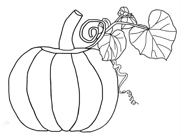 600x462 Halloween 2016 Best Pumpkin Carving Templates, Patterns