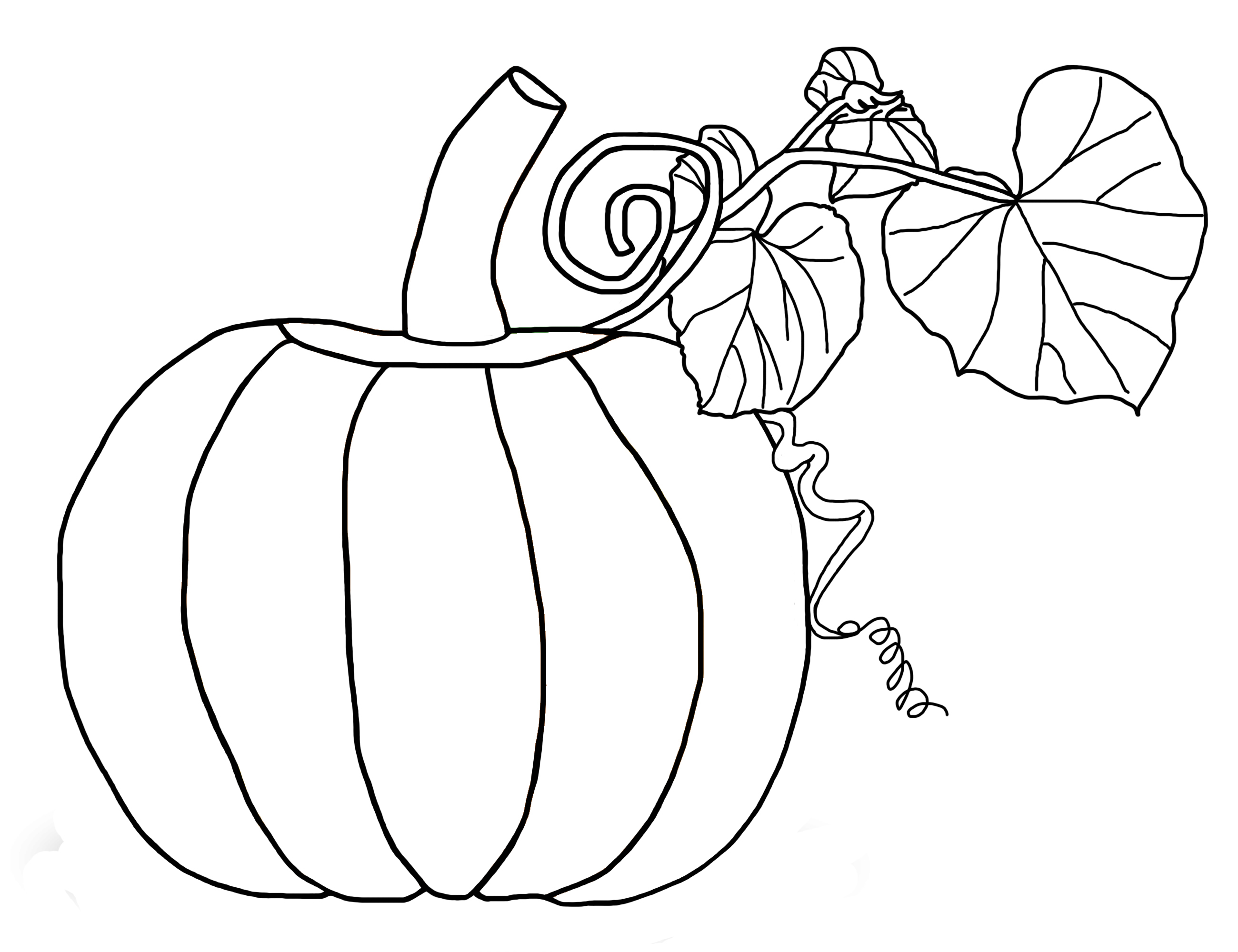 2600x2000 Free Printable Pumpkin Coloring Pages For Kids