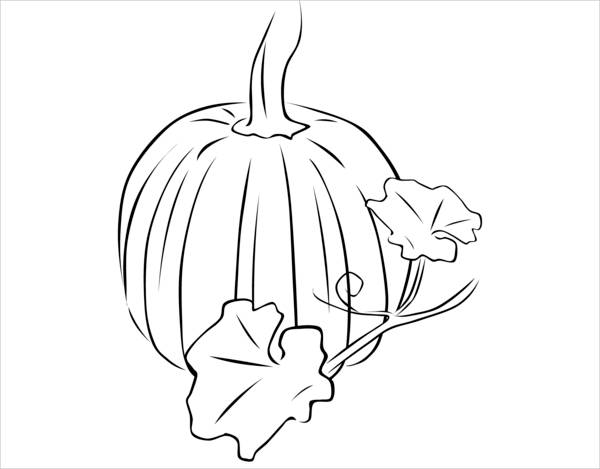 Pumpkin Leaf Drawing
