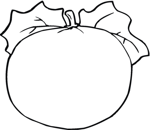 480x418 Blank Pumpkin With Leaves Coloring Page Free Printable Coloring