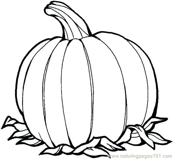 571x525 Coloring Page Of A Pumpkin Pumpkin Coloring Pages Interesting