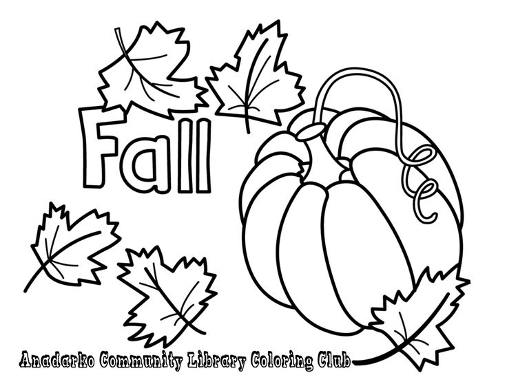 Pumpkin Leaves Drawing