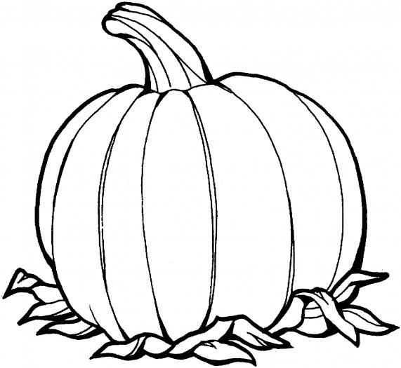 Pumpkin Leaves Drawing at GetDrawings | Free download