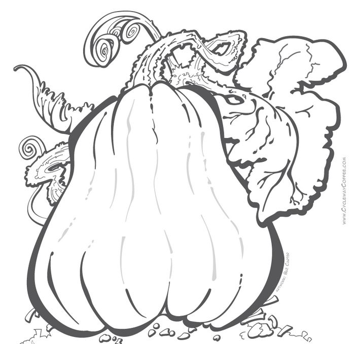 698x678 There Was An Old Lady Who Swallowed Some Leaves Omazing Kids