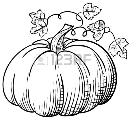 450x410 Halloween Pumpkin. Realistic Hand Draw Sketch Royalty Free