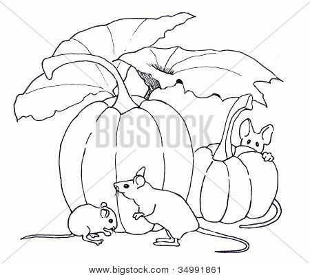 450x403 Line Drawing Mice Pumpkins Image Amp Photo Bigstock