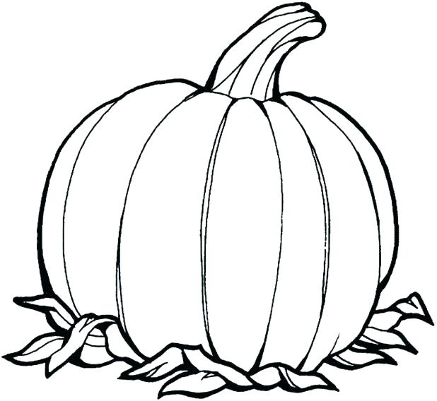 618x568 Pumpkin Coloring Book And Swirls Harvest Pumpkin Coloring Book