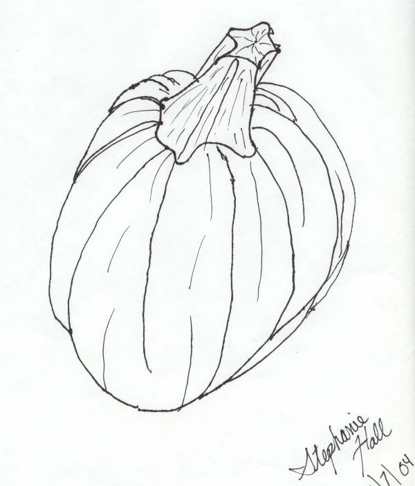 600x703 Pumpkin Contour Drawing Contours, Contour Drawings