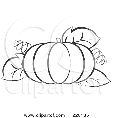 450x470 Pumpkin Leaf Outline Clipart