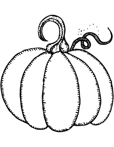 371x480 Pumpkins Coloring Pages Free Coloring Pages