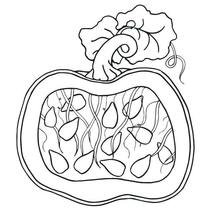 Pumpkin Patch Drawing at GetDrawings | Free download