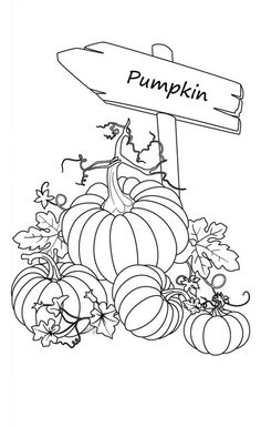 236x385 Pumpkins, Sign Of Pumpkins Garden Coloring Page Art