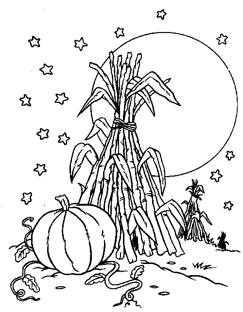 500x643 Pumpkin Patch