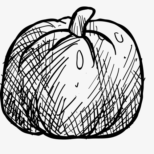 500x500 Pencil Drawing,fruits Vegetables,vegetables,sketch,black