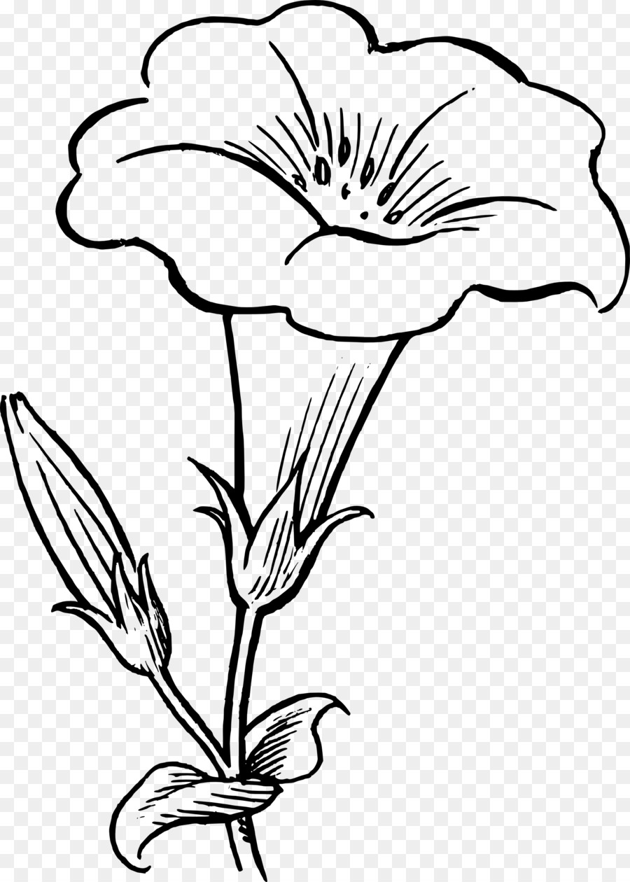 900x1260 Flower Drawing Black And White Clip Art